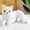 A, variant on Bdday Plush Cat Toys Stuffed Animal Baby Stuffed Animals - Cat Plush Toys for Kids 3-5 - Cat Stuffed Animals & Kitten Toy -Gift for Cat Lovers