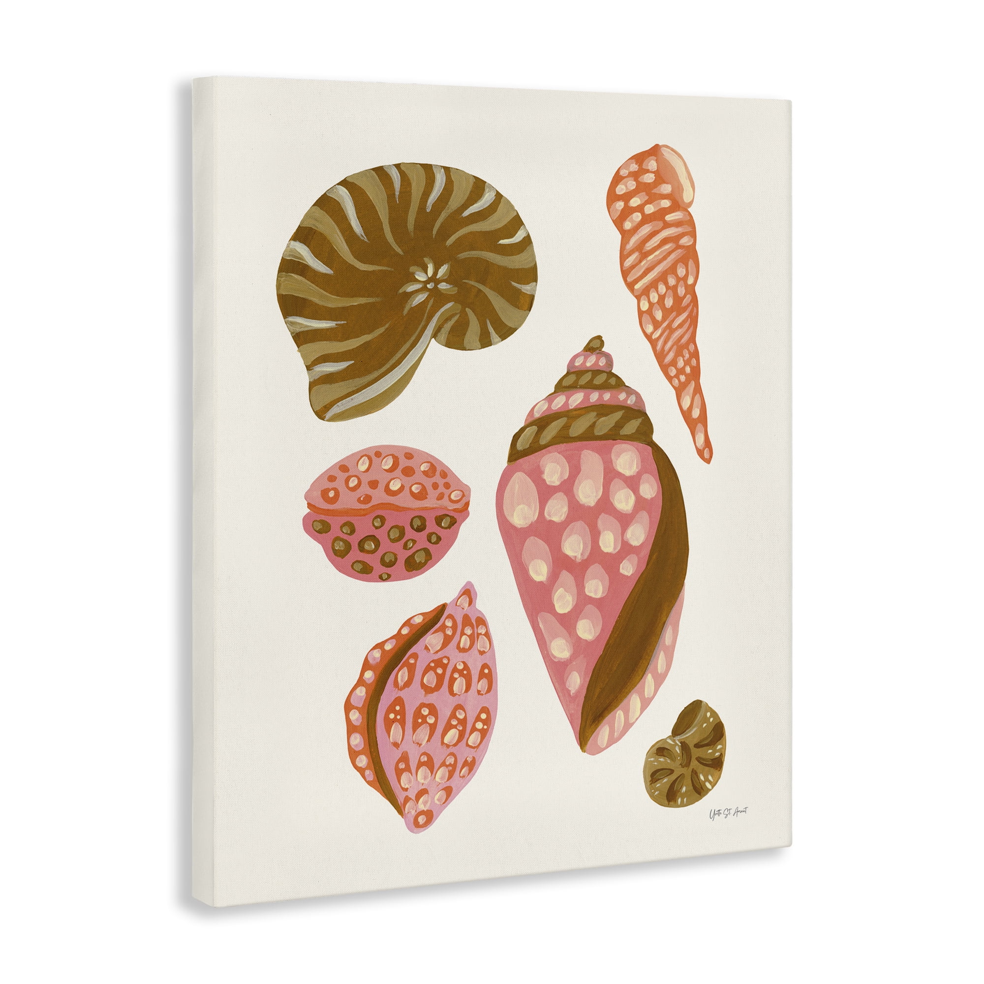 Stupell Industries Tropical Shell Collection Nautical & Beach Painting Wrapped Canvas Art Print Wall Art, 30 x 40