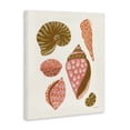 thumbnail image 3 of Stupell Industries Bohemian Tropical Shell Collection Canvas Art, 16 x 20, by Yvette St. Amant, 3 of 8