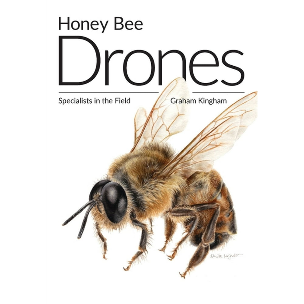 Honey Bee Drones Specialists in the Field (Paperback)