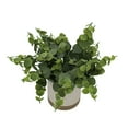 thumbnail image 5 of Mainstays by Becky G. & Alejandra 8" Artificial Eucalyptus in White Two-Tone Ribbed Ceramic Pot, 5 of 9