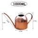 thumbnail image 3 of Regadera de acero inoxidable - Regadera de metal con pico largo para evitar derrames, regadera perfecta para plantas de exterior e interior. Hervidor de agua de acero inoxidable., 3 of 8