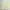 Yellow, variant on ALLLIST Women's Skirts Long Loose Elastic Waist Plain Green A-Line Girl Skirt