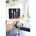 thumbnail image 3 of 5 Fresh-Cut Blue Hydrangea by Arabella Bouquets with a Free, Hand-Blown Glass Vase (Fresh-Cut Flowers), 3 of 7