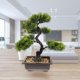 thumbnail image 5 of WORGEOUS Artificial Bonsai Pine Tree Faux Faux en maceta Display de escritorio de la planta, 5 of 8