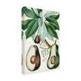 thumbnail image 2 of Turpin 'Turpin Tropical Fruit V' Canvas Art, 2 of 3
