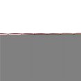thumbnail image 1 of Beistle 59927-R 9.75 in. x 8 ft. Metallic Tassel Garland, Red, 1 of 1