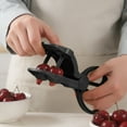 thumbnail image 2 of Double Head Cherry Pitter Tool Efficient Stone Removal Food Grade Stainless Steel Kitchen Utensil, 2 of 4
