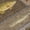 Brown, variant on Addison Rugs Chantille Indoor/Outdoor Transitional Lodge Brown Machine Washable Rectangle Rug, 10' x 14'