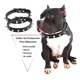 thumbnail image 4 of . Collar For Perros Y Gatos Medianos Con Picos De Metal, 4 of 6