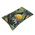 thumbnail image 3 of Balery Hand Drawn Citrus Fruits Elegant Lemons Bedding Queen Pillow Cases - Envelope Closure - Soft Brushed Microfiber Fabric - Shrinkage and Fade Resistant Pillow Cases-16"x24", 3 of 9