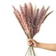 thumbnail image 3 of Inteprter 15 piezas de hierba de Pampa seca, exquisito adorno de planta Natural, decoración de ramo de interior, accesorio de caña seca para diseño de Kits de decoración para fiestas NO1 Inteprter HA035508-00B, 3 of 6