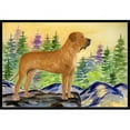 thumbnail image 1 of Carolines Treasures SS8195JMAT Tosa Inu Paillasson - 24 x 36 Po., 1 of 4