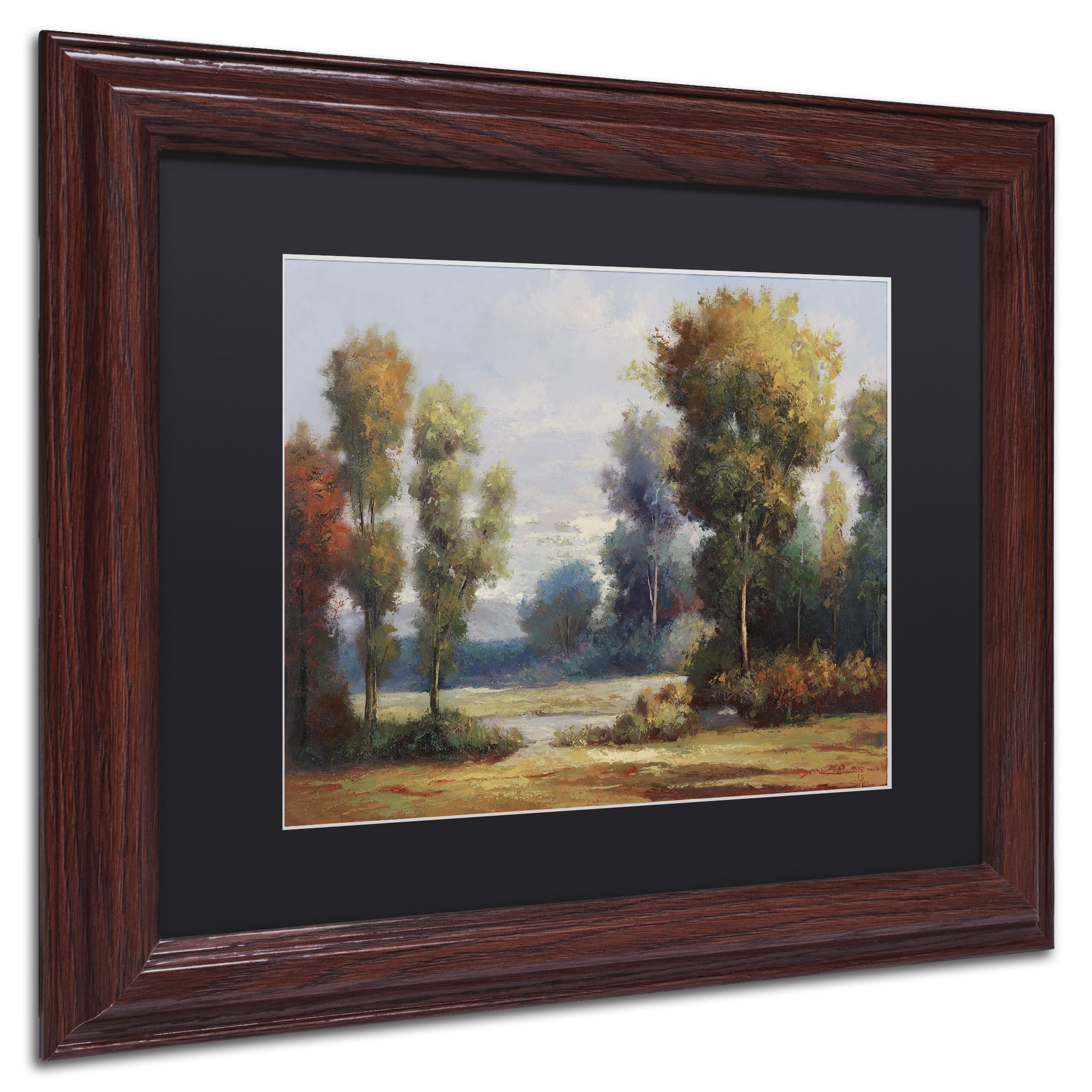 Trademark Fine Art "Memory Lane" Canvas Art by Daniel Moises, Black Matte, Wood Frame