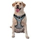 thumbnail image 1 of Fotbe Popcorn Arnés para Perro con Estampado –Chaleco Ajustable Acolchado con Asa de Control para Perros Grandes-Medium, 1 of 6
