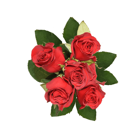 5 Stem Roses, colors will vary