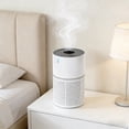 thumbnail image 4 of TIEVOSA Air Purifiers Replace The Filter Cartridge Screen Style Aromatherapy Style (White 2 Styles), 4 of 4
