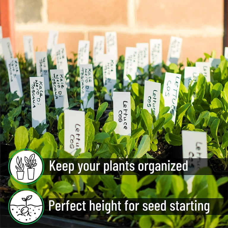 Where to Buy Plant Labels/Markers (white) seeds 