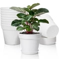 thumbnail image 1 of T4U 6 Inch Flower Pots 10-Pack - Small Plastic Planter with Drainage Hole and Saucer, Decorative Nursery Plant Pot Bulk for African Violet, Snak, 1 of 9