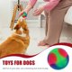 thumbnail image 2 of Pelotas de tenis iluminadas para perros, juguetes interactivos que brillan en la oscuridad, pelota elástica intermitente para saltar para perros pequeños, cachorros y gatos., 2 of 7
