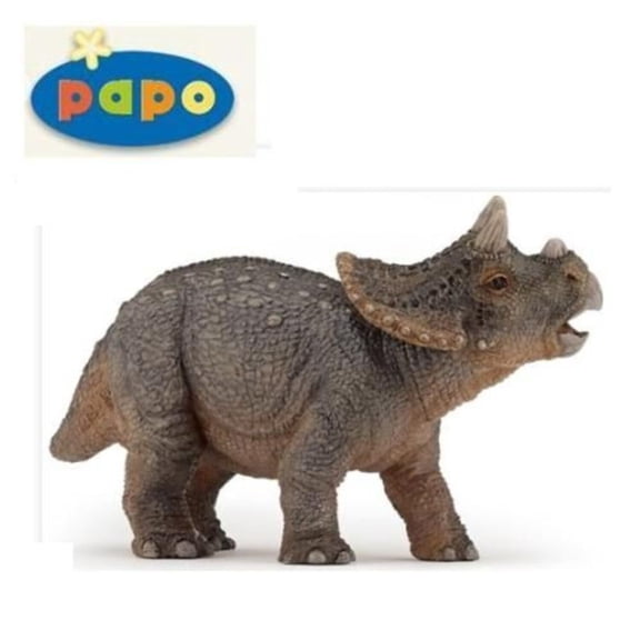Triceratops Young