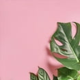 thumbnail image 6 of VEELIKE Pink Wallpaper Peel and Stick 15.7''x118'' Self Adhesive Thicken Pink Contact Paper for Bedroom Waterproof Vinyl Film Roll for Walls Cabinet Dresser Shelf Drawer Liners Living Room, 6 of 9
