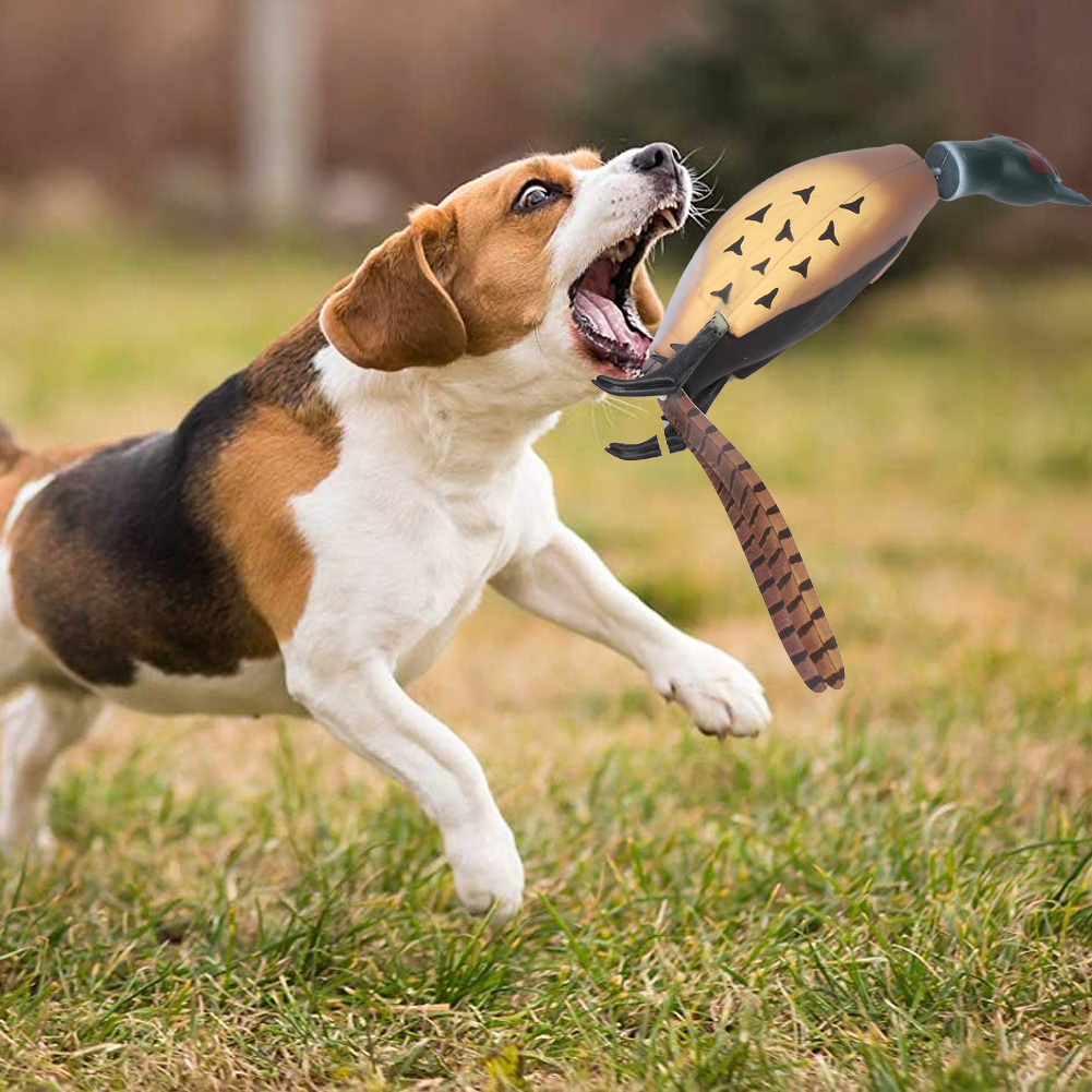 YardGo Duck Dog Toy, Training Dummy Retrieving Dog Toy Duck Bumper Retriever, Pheasant Dog Toy, Duck Rope Toy, Dog Training Toy for Small, Medium and Large Dogs