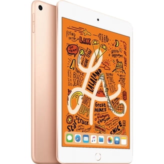 Ipad Mini 256gb