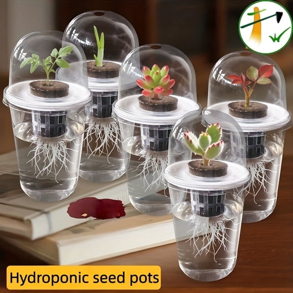 Disposable Clear CupswithLids, Clear Plastic PotsforPlants, Hydroponic Growing System, 5 Pack, Indoor Seed Starting Stations