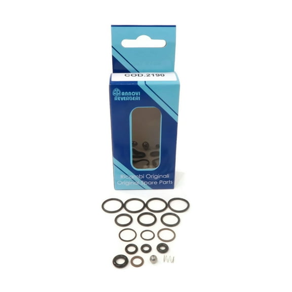 OEM Annovi Reverberi O-Ring Repair Kit, AR2190, 2190 Pressure Washer Pump RSV Series