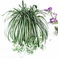 thumbnail image 5 of LIMEI 25.59" Artificial Chlorophytum Comosum Plant in Pot, 5 of 6