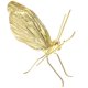 thumbnail image 2 of Zinc Alloy Butterfly Decor for Warm and Comfortable Ambience Creation, 2 of 5