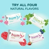 Stevita Hum Gum Chewing Gum Cinnamon - 12 Piece Count