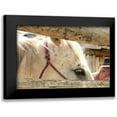 thumbnail image 1 of Murdock, Ramona 24x17 Black Modern Framed Museum Art Print Titled - Corralled, 1 of 5