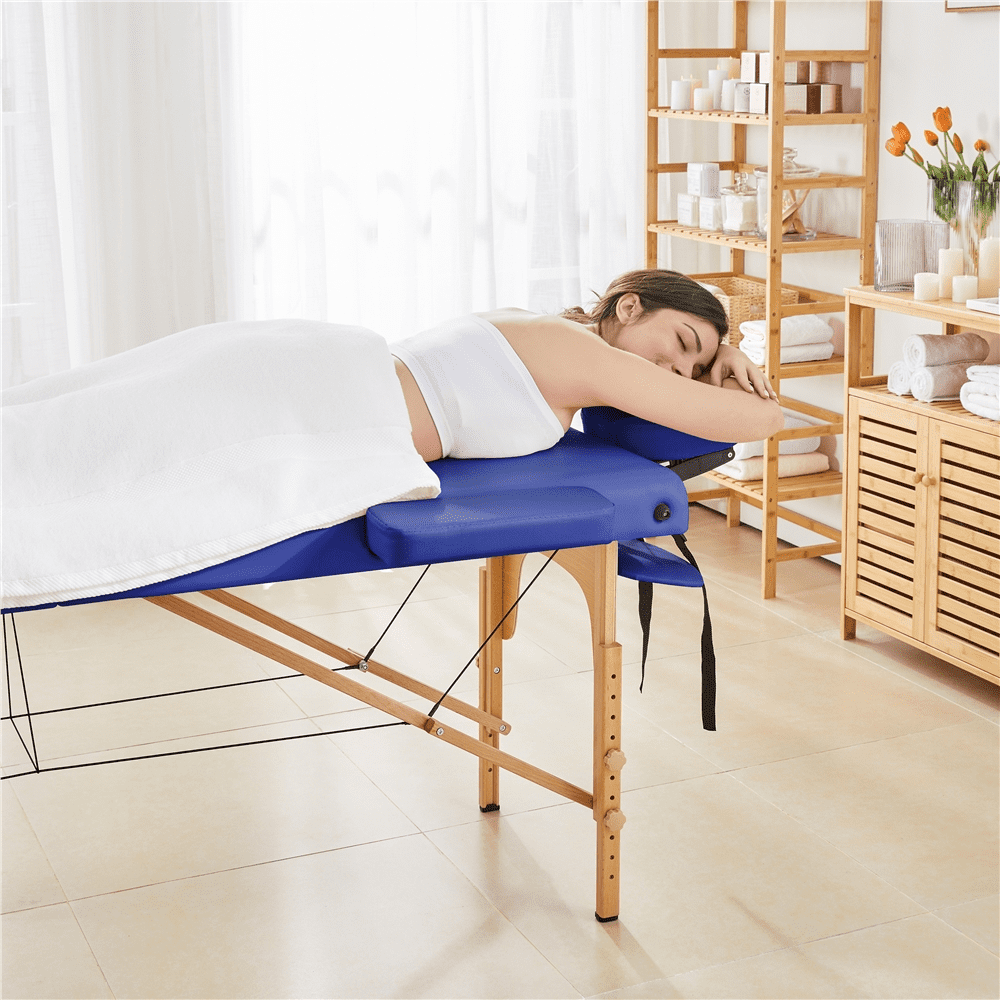 Renwick Adjustable Massage Bed with Non-woven Bag, Blue