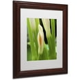 thumbnail image 2 of Trademark Fine Art "Lily Unfolding" Canvas Art by Kurt Shaffer, White Matte, Wood Frame, 2 of 4