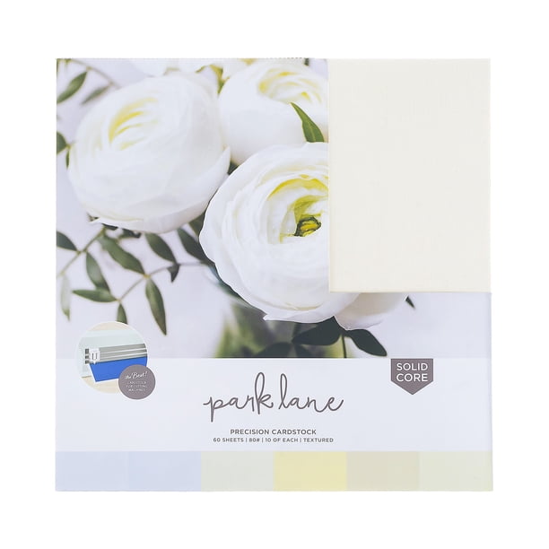 Cardstock 12x12 Variety Pack, 60 Sheets | 80lb Premium Textured ...