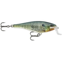 Rapala Super Shad Rap 14 Crankbait Live Bluegill