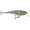 Live Bluegill, variant on Rapala Super Shad Rap 14 Hard Bait Fishing Lure 5.5" 1-5/8oz Bluegill