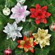 thumbnail image 4 of 5 piezas de adornos colgantes para árbol de Navidad con flores rojas, corona navideña para bricolaje, decoraciones navideñas para el hogar, Año Nuevo, Navidad 2024, 4 of 5