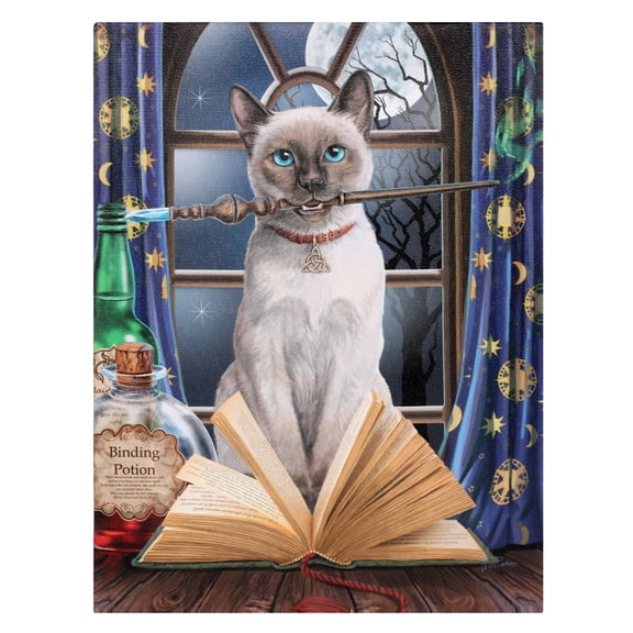 Lisa Parker Hocus Pocus Cat Canvas Art Print 7.5 x 10 Inch