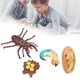 thumbnail image 5 of Modelo de Ciclo de Vida Animal de Juguete ANGGREK, 5 of 8