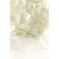 thumbnail image 2 of White Hydrangea Wall Mural by Wallmonkeys Peel and Stick Graphic (36 in H x 30 in W) WM190511, 2 of 4