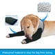 thumbnail image 3 of Mangas de recuperación para perros Coodeo L, impermeables, 2,5 mm de grosor, 3 of 7