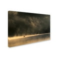 thumbnail image 3 of Izabela Laszewska Mitrega 'Lost In Space' Canvas Art, 3 of 3