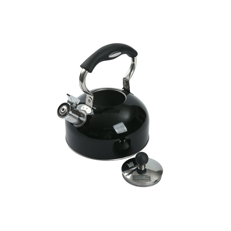 2.5 Liter Whistling Tea Kettle - Modern Stainless Steel Whistling Tea –  TreeLen