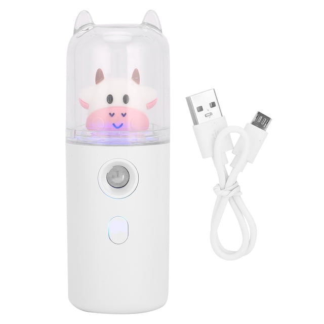 Pulverizador de niebla portátil recargable por USB de 30 ml, hidratante facial.
