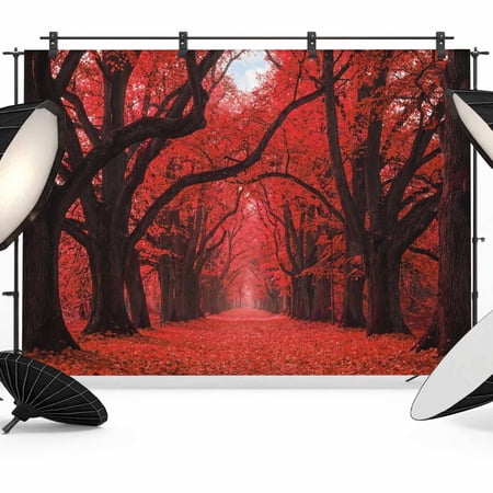 Fall Forest Backdrops for Photography Country Rustic Red Black Tree Leaf Path Landscape Fabric Photo Background Sturdy Studio Props for Photo Studio Video Recording Booth & Photoshoot 8x6ft