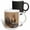 Multicolor, variant on 3drose, Eastern Screech Owl, Otus Asio, Roosting in Tree, 11oz Two-tone Black Mug