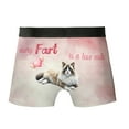 thumbnail image 2 of Every Fart is Love Note Ragdoll Guilty Face Happy Valentine's All Over Print Boxer Briefs Underwear for Men Dad Cat Lover Kitten Owner Gifts Idea - 01016, 2 of 6